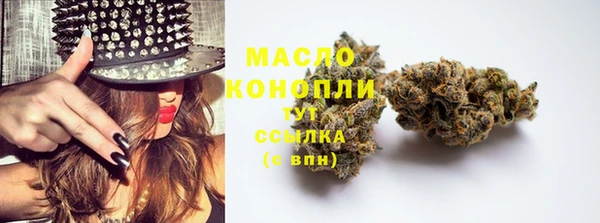 твердый Краснослободск