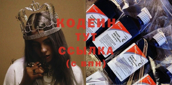 твердый Краснослободск