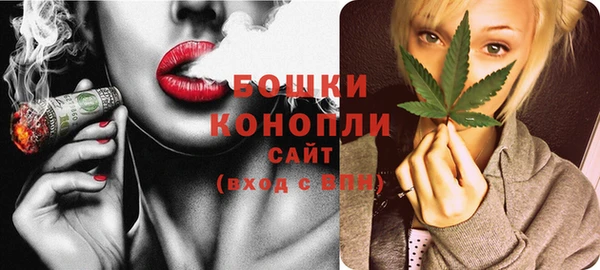 spice Козловка