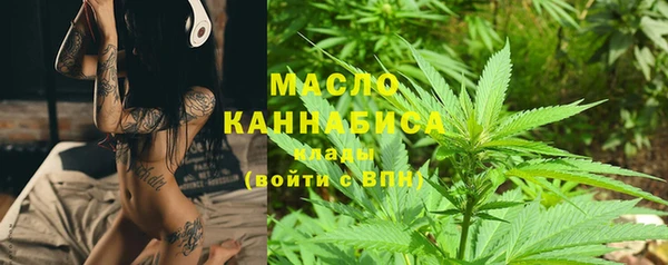 твердый Краснослободск