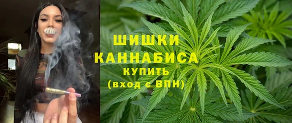spice Козловка
