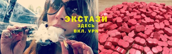 твердый Краснослободск
