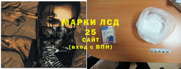 твердый Краснослободск